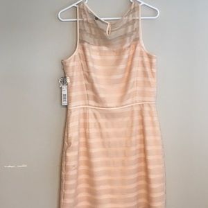 Gianni Bini dress